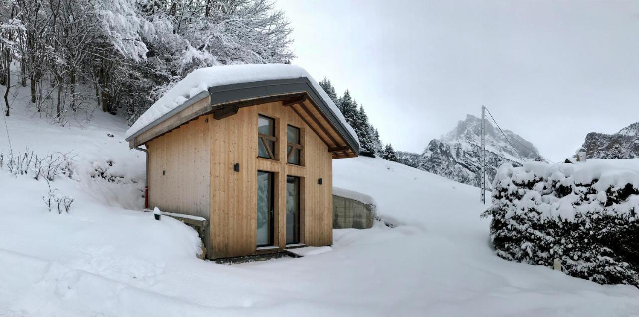 Chalet*** Au Pied D'Une Prairie Face A La Montagne Sixt Eksteriør billede