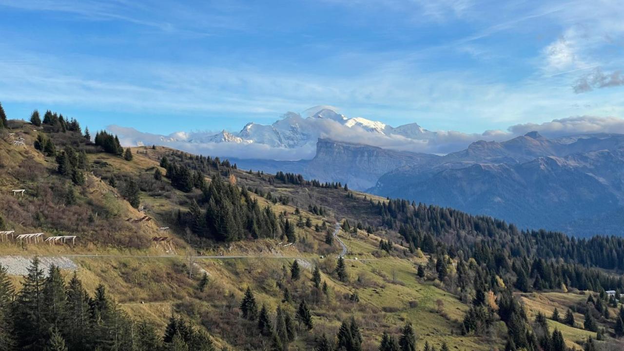 Chalet*** Au Pied D'Une Prairie Face A La Montagne Sixt Eksteriør billede